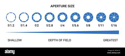 Iris Diaphragm Anatomy