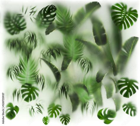 Green Plants Behind The Glass Size 2800 X 2500 Mm Layout For Printing