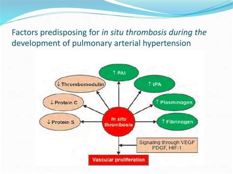 Pediatric Pulmonary Hypertension Ppt