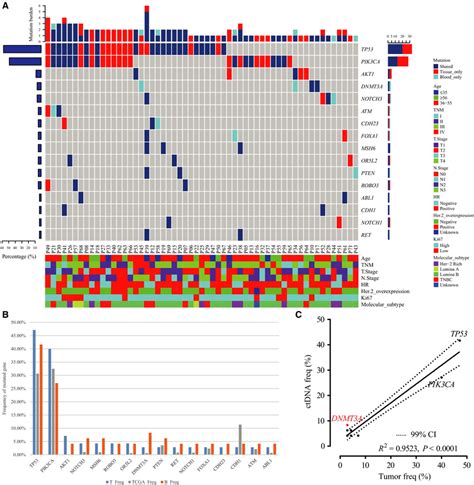 Genomic Profiling Of Tumor Dna Ctdna And Public Database Sequences