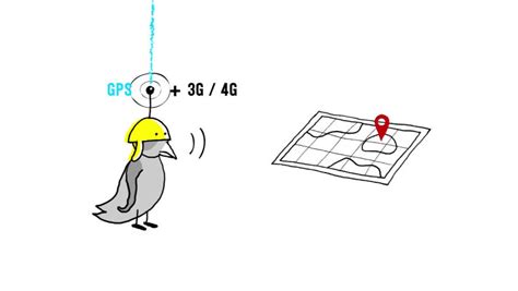 Snt G Olocalisation Comment S Y Retrouver Num Rique Ducatif