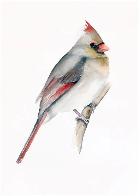 Female Cardinal Painting Print Cardinal Watercolor Print Etsy