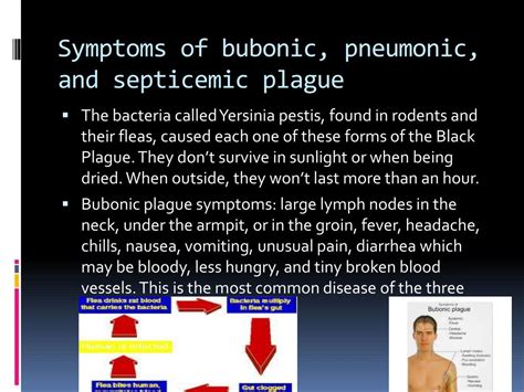 Ppt The Black Plague Powerpoint Presentation Free Download Id1924571