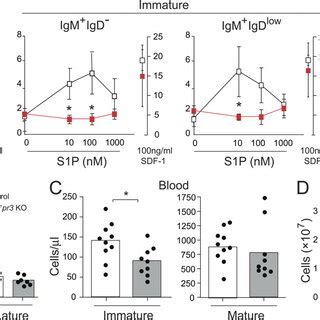 Expression Of S1P Receptors In Bone Marrow B Cell Subpopulations AE