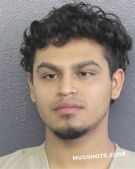 Fernandez Alejandro Broward County Mugshots Zone