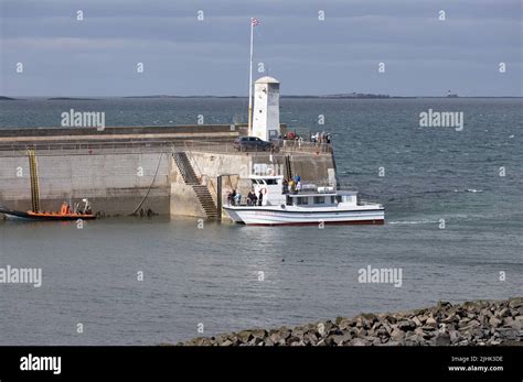 Serenity 3 Farne Islands Pleasure Boat Trips returns to the harbour in ...