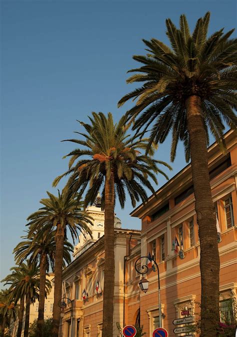 Ajaccio travel | Corsica, France - Lonely Planet