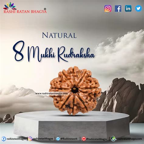 Buy Certified Mukhi Rudraksha Online In India Mukhi Rudraksha