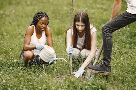 Grupo De Jovens Volunt Rios No Parque Eles Est O Plantando Uma Muda De