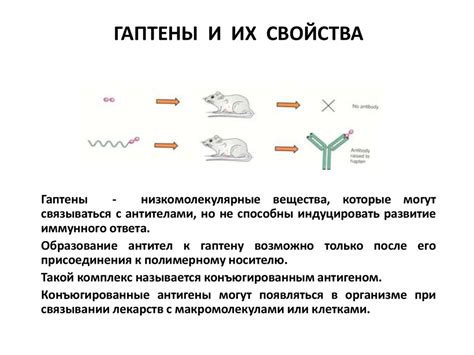 Антигены и их свойства - презентация онлайн