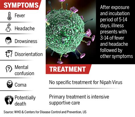 Nipah Virus Symptoms All You Need To Know