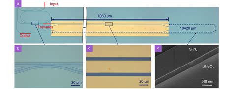 Spatio-temporal isolator in lithium niobate on insulator