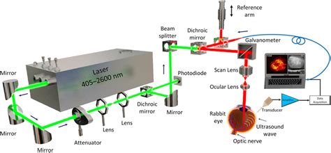 Schematic Of The Multimodal Photoacoustic Microscopy Pam And Optical