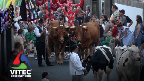 Cortejo Do Bodo De Leite Das Festas Da Agualva Percorre Parte