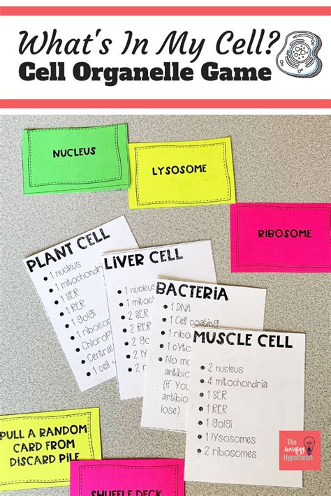 What’s In My Cell? – The Learning Hypothesis