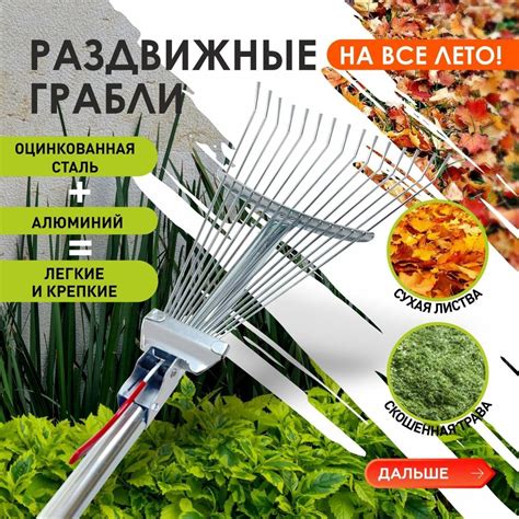Грабли Веерные купить на OZON по низкой цене