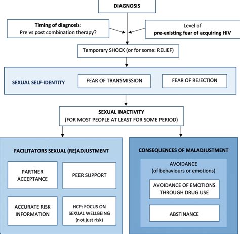 Depicts The Diagrammatic Model Of The Process Of Sexual Adjustment To