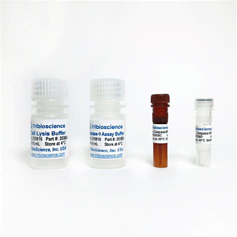 Caspase 9 Fluorometric Assay Kit Tbs2038f Tribioscience