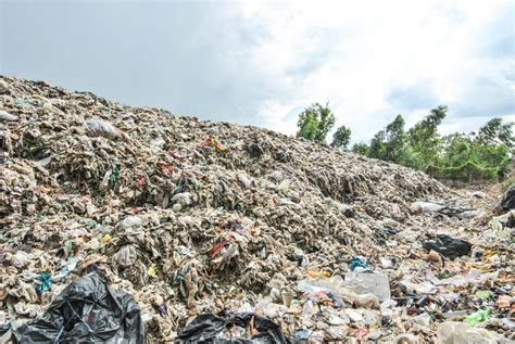 Décomposition En Plastique Dure De Déchets Pollution De La Société De