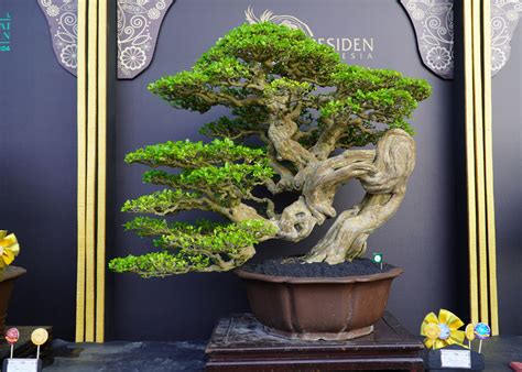 WBFF Convention, Surabaya - Bonsai Empire