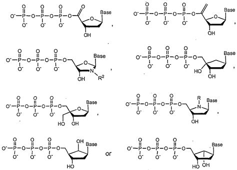 Cytidine Triphosphate; CTP