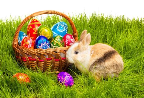 Oeuf Et Lapin De Pâques Dans Le Panier Photo Stock Image Du Groupe