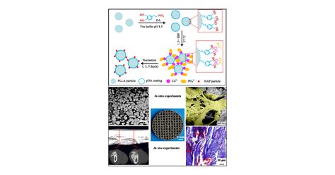 In Situ Generation of Hydroxyapatite on Biopolymer Particles for ... 