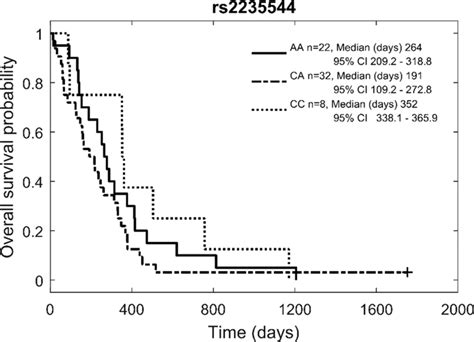 Kaplanmeier Plot Of Overall Survival For Glioblastoma Patients By