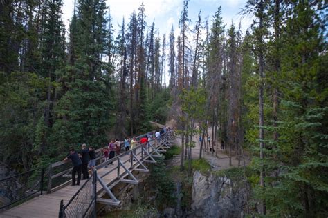 15 Things To Know BEFORE You Visit Sunwapta Falls