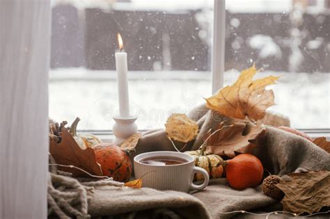 Warm Cup Of Tea Pumpkins Fall Leaves Cozy Scarf On Rustic Wooden