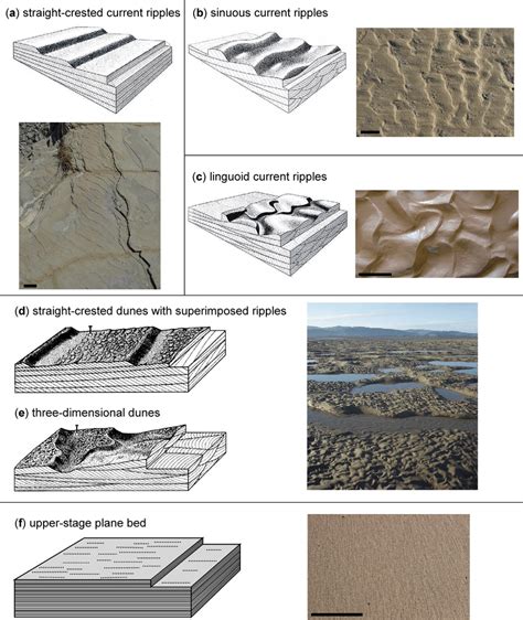 Schematic Drawings And Examples Of Current Generated Bedforms In