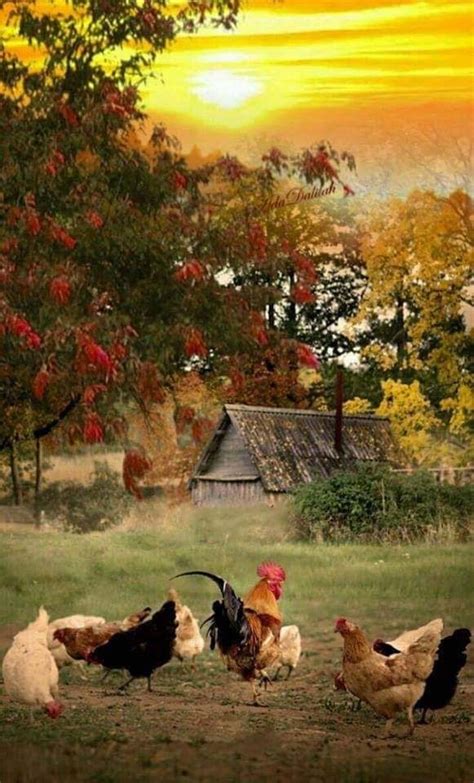 pin  abdel jean  paysage country scenes nature photography