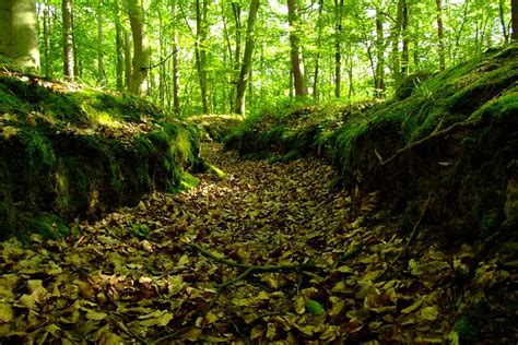 okopy  ii wojny swiatowej na wolinie pomorze zachodnie polskie