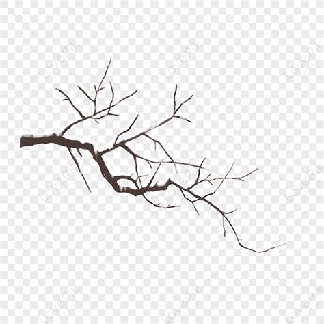 Beautiful Tree Branch Clip Art Image Clip Art Library The Best Porn