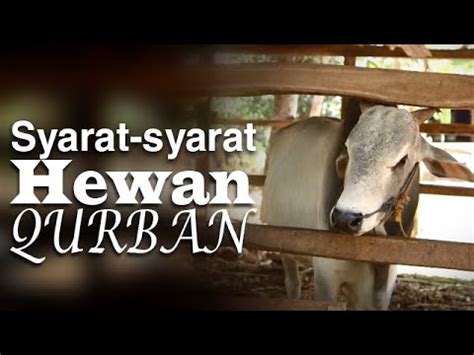 Serial Fikih Islam Episode Syarat Syarat Hewan Qurban Ustadz