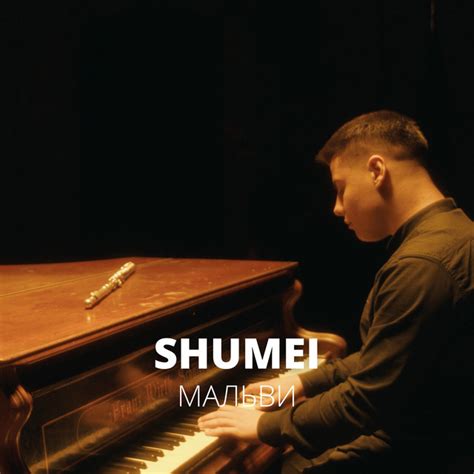 Мальви - Single by SHUMEI | Spotify