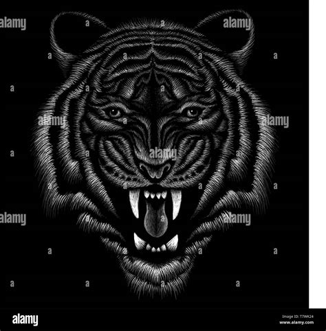 Black Tigers Logo