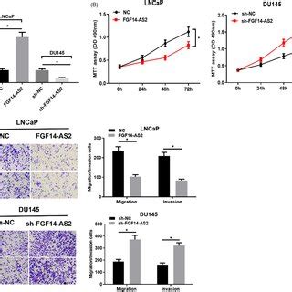 Fgf As Inhibits Functions Of Prostate Carcinoma Cells A