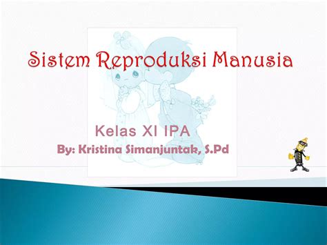 Kelas Xi Sistem Reproduksi Manusia Ppt