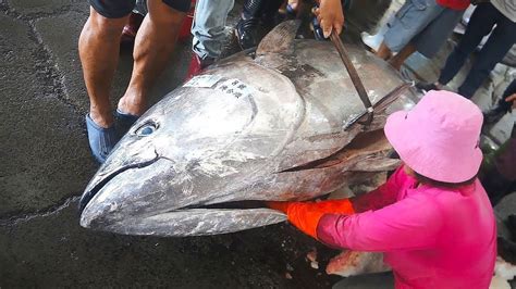 Monster Fish Over 400kg Giant Bluefin Tuna Cutting Using Super Sharp