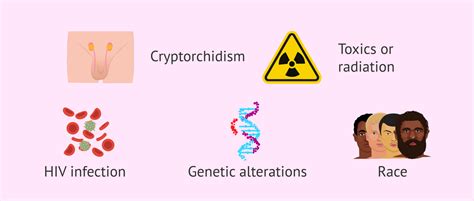Risk Factors For Testicular Cancer