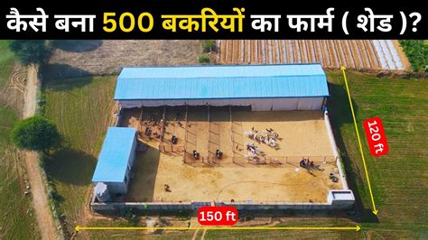 कस बन 500 बकरय क फरम शड goat farm shed bakri palan