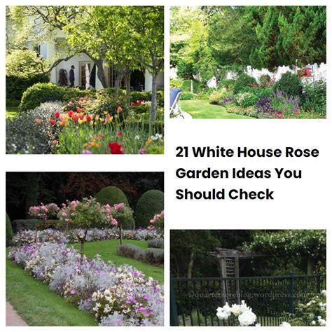 21 White House Rose Garden Ideas You Should Check SharonSable