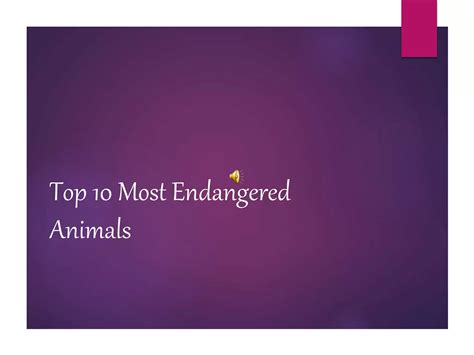 Endangered Species Ppt