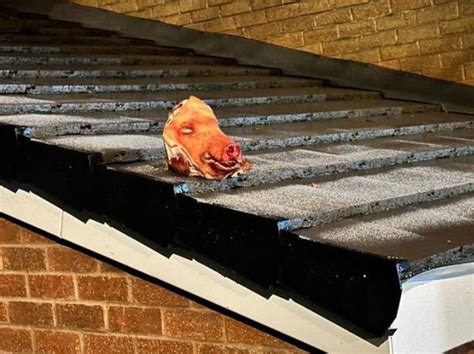 Kepala Babi Ditinggalkan Atas Bumbung Masjid Di London Bbc Portal