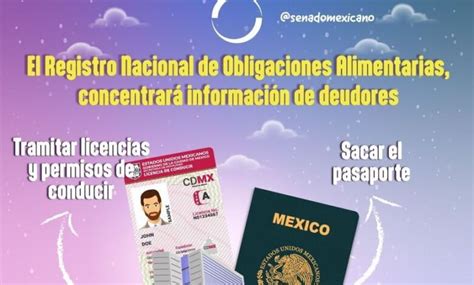 El Registro Nacional De Obligaciones Alimentarias Concentrará Información De Deudores Revista