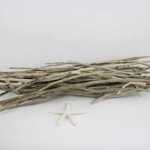 Long Driftwood Twigs To Vase Filler Very Thin Driftwood