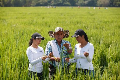 El Rol De La Mujer En El Agro Argentino Agrolink