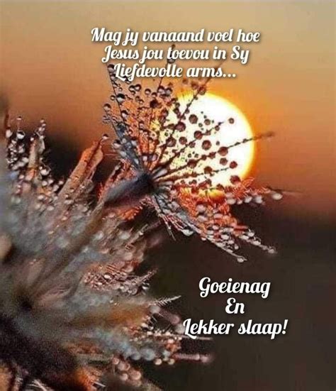 Pin By Martin Thompson On Afrikaans Goeie Nag Good Night Blessings