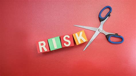 What Is Risk Mitigation